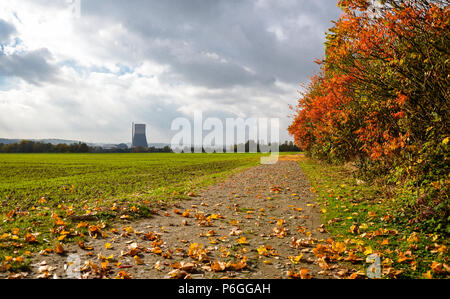 Autumn windy day in Germany, cloudy sky yellow leaves falling from trees standing near a dirt road and farmland. In the distance, the chimney of the n Stock Photo