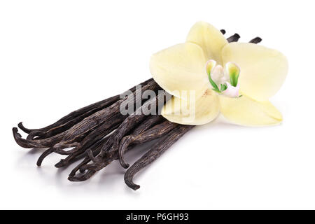 Dried vanilla fruits and orchid vanilla flower isolated on white background. Stock Photo