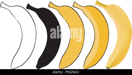 Banana set. From outline sketch to 3d illustration Stock Vector