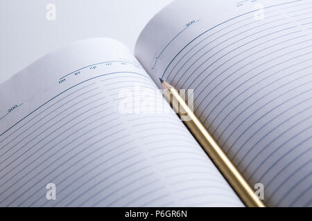 open diary with shiny pencil Stock Photo