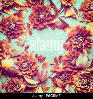 Autumn flowers background with leaves and dahlias, top view, frame. Fall layout for your design Stock Photo