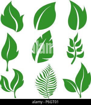 Collection of leaves. Green icons Stock Vector