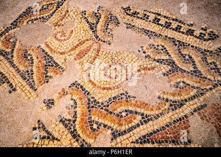 Italy Sardinia Porto Torres - Turris Libisonis Archaeological Park and National Archaeological Museum Antiquarium Turritar - Mosaic Stock Photo