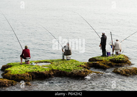 Rock Fishing Rods