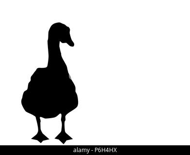 Black silhouette of goose on white background, vector, eps 10 Stock Photo