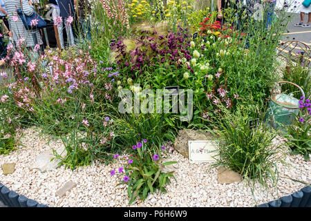 A display of perennial plants by A & J Plants in the plant village at Gardeners' World Live 2018, NE, Birmingham, England Stock Photo