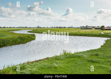 Historic Windmills, farms and cows on the dykes off the Zomersloot in the Dutch village of Oud Ade. Stock Photo