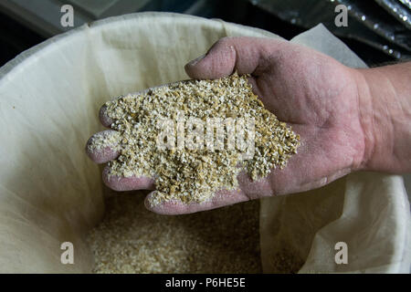 Showing a hand full of freshly milled malt . Milled into a mesh bag.