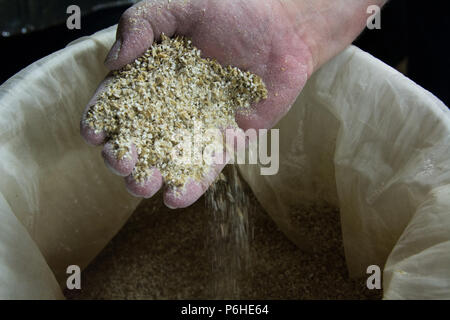 Showing a hand full of freshly milled malt . Milled into a mesh bag.