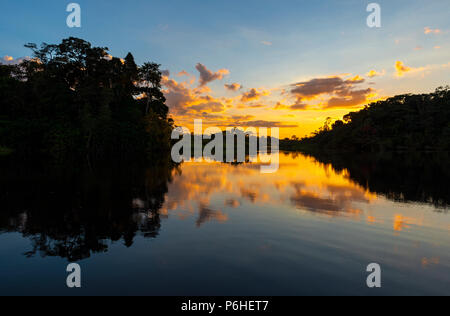 Sunset with a view over the silhouette of the Amazon Rainforest inside the Yasuni national park, Ecuador. Stock Photo