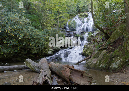 Catawba Falls, a scenic waterfall in the Blue Ridge Mountains, cascades over 100 feet onto rocks and logs at the end of the Catawba Falls hiking trail Stock Photo