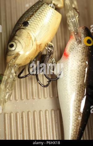 Fishing crank bait in a tackle box compartment Stock Photo