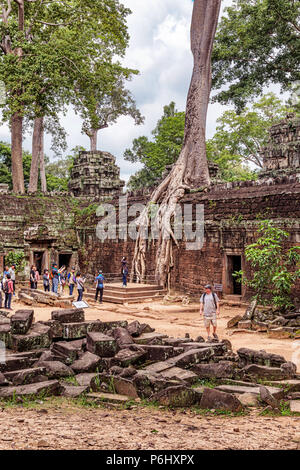 Angkor, Cambodia - Nov 17, 2017: Tourists at Ta Prohm temple ruins overgrown with trees at Angkor, Cambodia, built in late 12th centuries.it was found Stock Photo