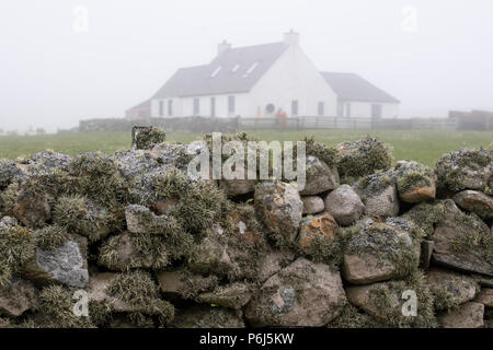 Great Britain, Shetland, Fair Isle. Typical farm house with moss covered rock wall.