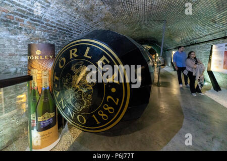 Wine cellar in Torley Wine company. Torley producing 21,5 million bottles of sparkling wine a year. Stock Photo