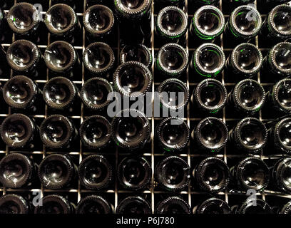 Wine cellar in Torley Wine company. Torley producing 21,5 million bottles of sparkling wine a year. Stock Photo