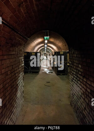 Wine cellar in Torley Wine company. Torley producing 21,5 million bottles of sparkling wine a year. Stock Photo