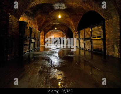 Wine cellar in Torley Wine company. Torley producing 21,5 million bottles of sparkling wine a year. Stock Photo