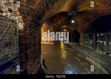 Wine cellar in Torley Wine company. Torley producing 21,5 million bottles of sparkling wine a year. Stock Photo