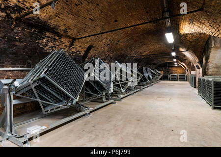 Wine cellar in Torley Wine company. Torley producing 21,5 million bottles of sparkling wine a year. Stock Photo