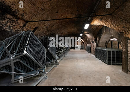 Wine cellar in Torley Wine company. Torley producing 21,5 million bottles of sparkling wine a year. Stock Photo