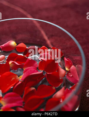 Red rose petals floating in bathtub with milk Stock Photo - Alamy