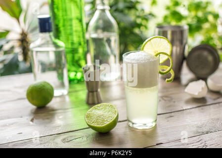 Egg Gin Fizz Cocktail with Lime Garnish. Making Gin Fizz Drink with ingredients. Stock Photo