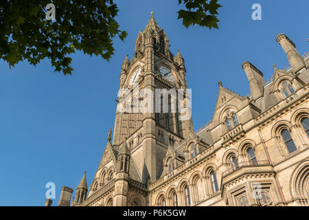 Manchester Town Hall in the Albert Square area of the city, featuring leaves in the foreground. Stock Photo