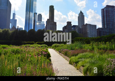 The skyline rises up behind the Lurie Garden in Chicago's Millennium Park. Stock Photo