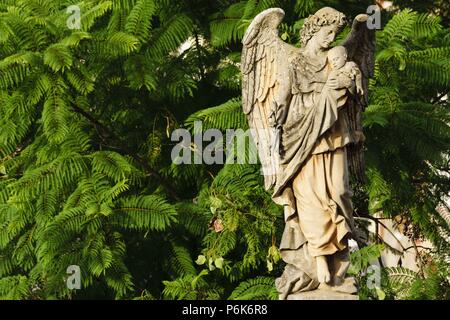 angel con un niño en brazos, cementerio historico de palma, inaugurado el 24 de marzo de 1821,Palma, Mallorca, islas baleares, Spain. Stock Photo