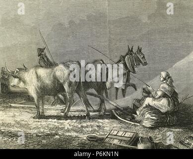Agriculture. Threshing with threshing board. Engraving by R. Milliet. 19th century. Stock Photo