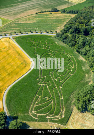 Corn maze with Russian football emblem in Cappenberg, Farm Lünemann, Selm, Ruhr, Nordrhein-Westfalen, Germany, DEU, Europe, aerial view, birds-eyes vi Stock Photo