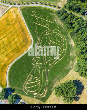 Corn maze with Russian football emblem in Cappenberg, Farm Lünemann, Selm, Ruhr, Nordrhein-Westfalen, Germany, DEU, Europe, aerial view, birds-eyes vi Stock Photo