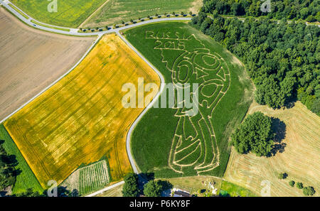 Corn maze with Russian football emblem in Cappenberg, Farm Lünemann, Selm, Ruhr, Nordrhein-Westfalen, Germany, DEU, Europe, aerial view, birds-eyes vi Stock Photo