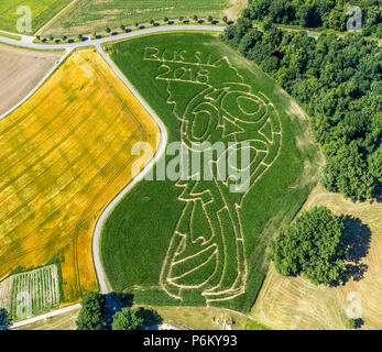 Corn maze with Russian football emblem in Cappenberg, Farm Lünemann, Selm, Ruhr, Nordrhein-Westfalen, Germany, DEU, Europe, aerial view, birds-eyes vi Stock Photo