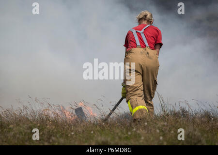 Lancashire, UK. 1 July 2018 - Female firefighters attempt to control the growing moorland fire on Winter Hill and Rivington Pike which was started a number of days ago. Fire crews from across the UK have converged on Winter Hill to control the blaze which is growing by metres per hour. Lancashire Fire and Rescue and Lancashire Police are leading the response to the 'major incident'. Credit: Benjamin Wareing/17�Թ����� Live News Stock Photo