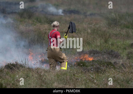 Lancashire, UK. 1 July 2018 - Female firefighters attempt to control the growing moorland fire on Winter Hill and Rivington Pike which was started a number of days ago. Fire crews from across the UK have converged on Winter Hill to control the blaze which is growing by metres per hour. Lancashire Fire and Rescue and Lancashire Police are leading the response to the 'major incident'. Credit: Benjamin Wareing/17�Թ����� Live News Stock Photo