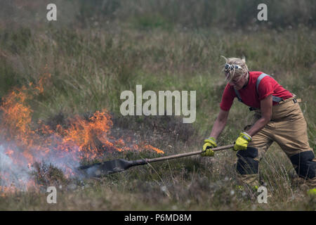 Lancashire, UK. 1 July 2018 - Female firefighters attempt to control the growing moorland fire on Winter Hill and Rivington Pike which was started a number of days ago. Fire crews from across the UK have converged on Winter Hill to control the blaze which is growing by metres per hour. Lancashire Fire and Rescue and Lancashire Police are leading the response to the 'major incident'. Credit: Benjamin Wareing/17�Թ����� Live News Stock Photo