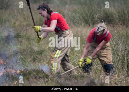 Lancashire, UK. 1 July 2018 - Female firefighters attempt to control the growing moorland fire on Winter Hill and Rivington Pike which was started a number of days ago. Fire crews from across the UK have converged on Winter Hill to control the blaze which is growing by metres per hour. Lancashire Fire and Rescue and Lancashire Police are leading the response to the 'major incident'. Credit: Benjamin Wareing/17�Թ����� Live News Stock Photo