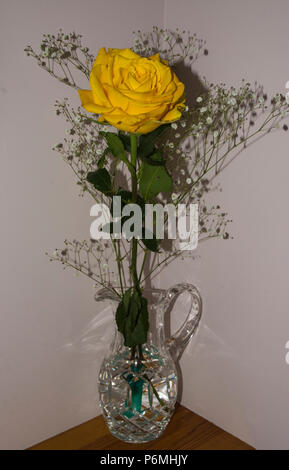 Glass Vase shows off the uniqueness of a long stem yellow rose. Stock Photo
