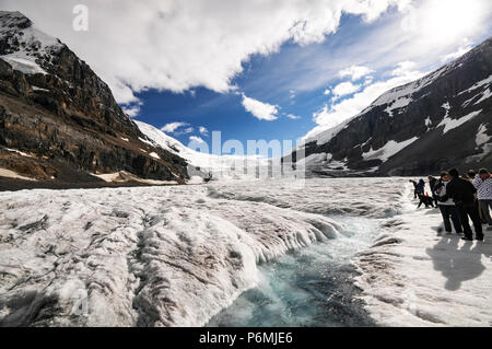 On the ice: summer at the Athabasca Glacier in Jasper National Park Stock Photo