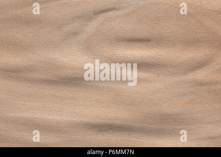 New beech veneer texture in your ideal tone. High resolution photo. Stock Photo