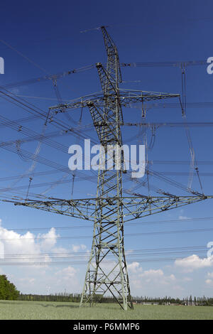 Schoenewalde, Germany, power pole Stock Photo