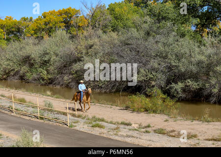 Man riding a horse along the Rio Grande State Park in Albuquerque New Mexico Stock Photo