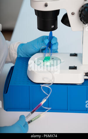technician girl with microfluidic device LOC in microbiological lab Stock Photo