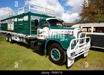 Mack B61 thermodyne diesel cattle truck from Katherine in the northern territory on display at the glen innes truck and tractor show Stock Photo