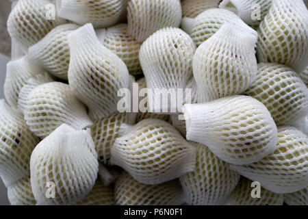 Fruits production.  Melons for sale. .  Cai Be. Vietnam. Stock Photo