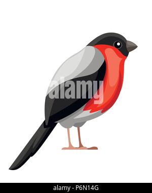 Bullfinch bird. Flat cartoon character design. Colorful bird icon. Cute bullfinch Christmas robin bird. Vector illustration isolated on white backgrou Stock Vector