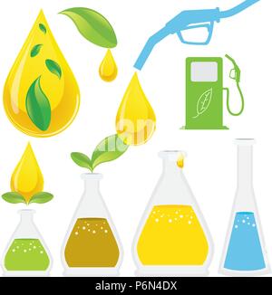 Biodiesel Production Process. It is renewable and natural domestic fuel extracted from animal fats or vegetable oils mostly from soy, bean, seed, palm Stock Vector