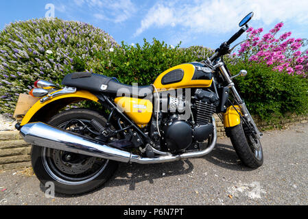 Yellow Triumph Thunderbird Sport against a floral background. Touring. Motorcycle motorbike. British bike on a bright summer day with greenery flowers Stock Photo
